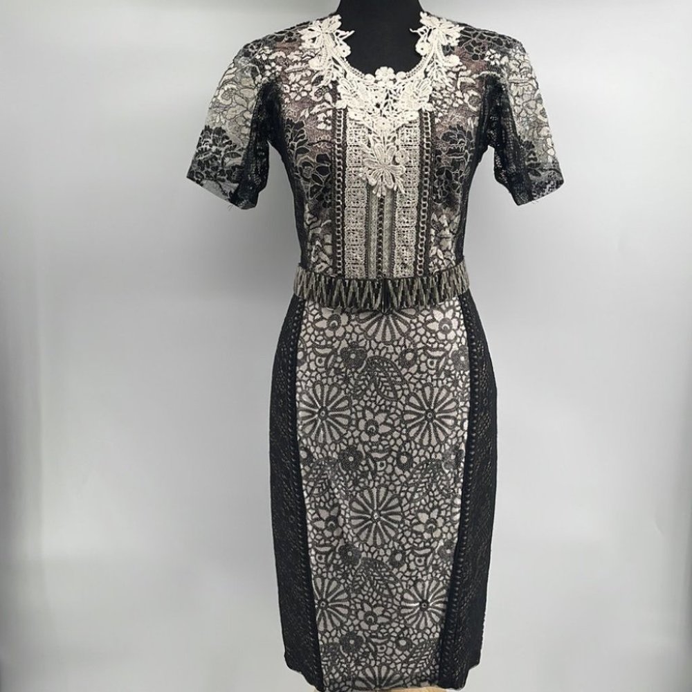 Anthropologie Bryan lars lace Melange Pencil Dress unique patchwork sz 2